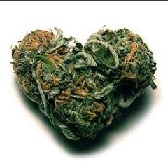 Stoner - Young Stoner Boy