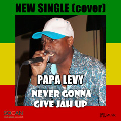 Never Gonna Give Jah Up