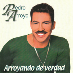 (Salsa Sensual) Pedro Arroyo  (Mix)
