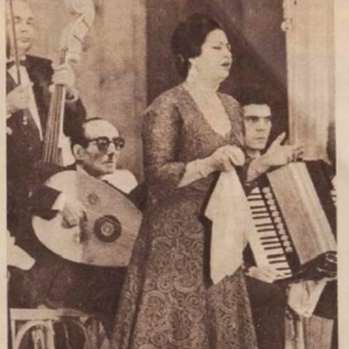 سلطنة كلثومية - أبا الزهراء قد جاوزت قدري ❤