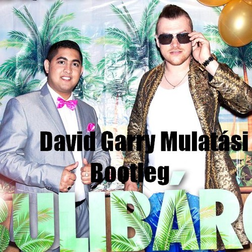 Pixa & Kis Grófo - Bulibáró (David Garry Mulatási Bootleg) FREE DOWNLOAD