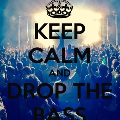 Best Bass Drops 2015