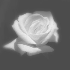 Easier (ft. Mary Zheng)