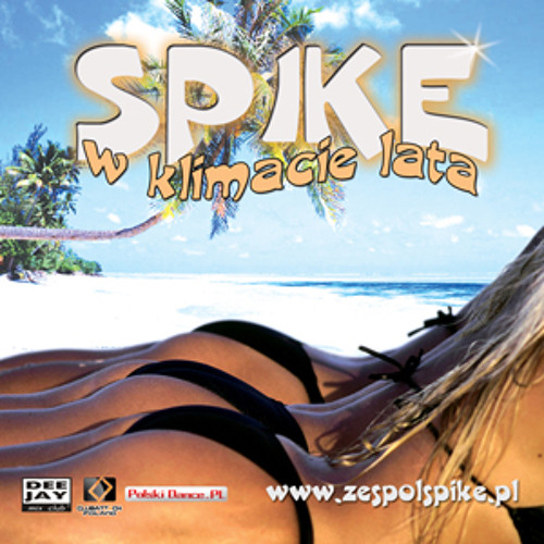 Spike - W klimacie lata (Levels On Remix)