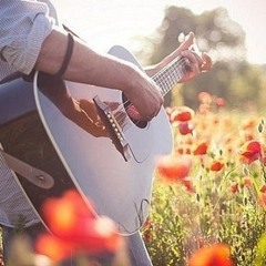 Мотор'ролла, Таркак, Хвилю тримай  —  Якби всі люди взяли гітари