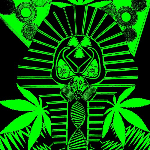 live wawawa [FREE DOWNLOAD]