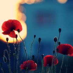 Love's playlist (Vol 2)