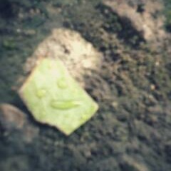 Dove Party - Peke Re (Orginal Mix I)