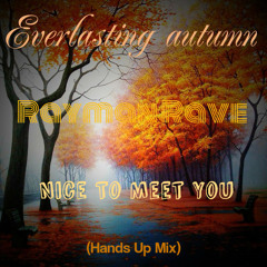 RaymanRave - Nice To Meet You (Hands Up Edit)