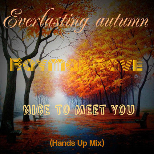RaymanRave - Nice To Meet You (Hands Up Edit)