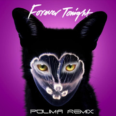 Galantis - Forever Tonight (Polima Bootleg Extended Mix)