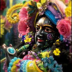 Aindra Prabhu's App. Day Kirtan- Alachua 2014