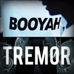Tremor for Booyah (DJ Fritz Bootleg)
