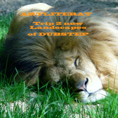 Trip 2 new Landscapes of DUBSTEP (WILDER THAN WILD-MIX)