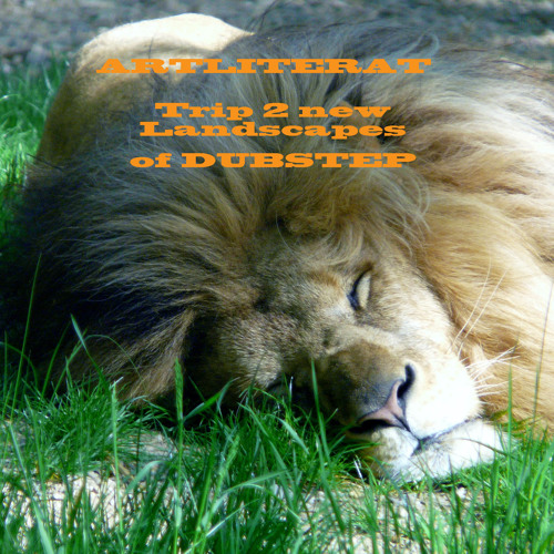 Trip 2 new Landscapes of DUBSTEP (WILDER THAN WILD-MIX)