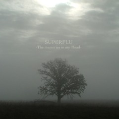 SUPERFLU-Memories In My Head