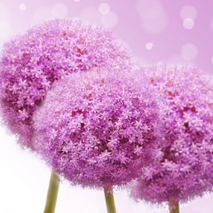 Piano - Alexander Siebert - Storm