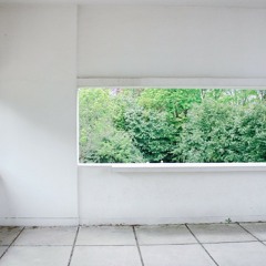 Shleepy Sundaze / No. 17