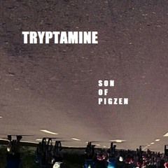 Tryptamine -  PIGZEN