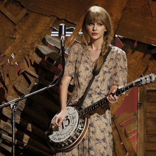 The Story Of Us Taylor Swift cover