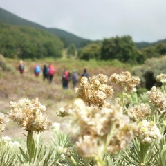 George Benson/Westlife - Nothing's Gonna Change My Love For You