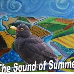 THE SOUND OF SUMMER (Martin Peirson)