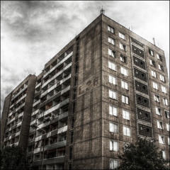 Mimikry