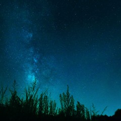 どうぶつの森 AM2:00 8bit-arrange