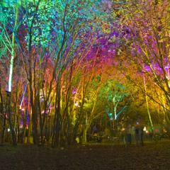 Kokes Groove & Fusion 2015 Warm-up Set