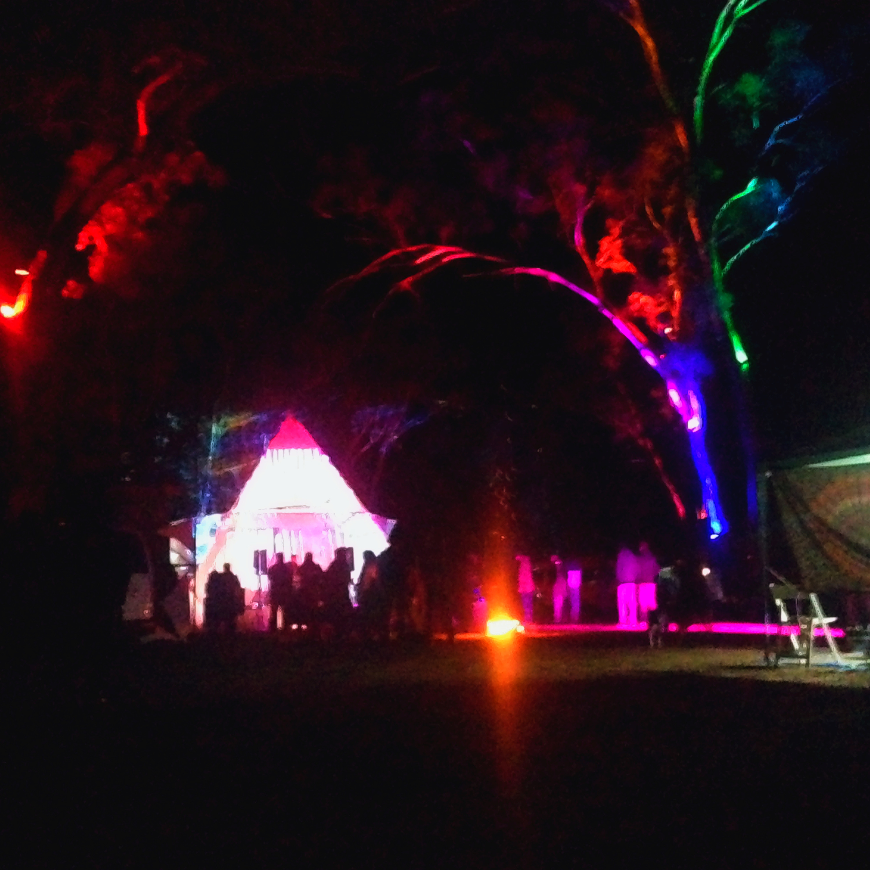 Harry Blotter - Chrysalis Doof TechNo Sunday Sessions - June 2015 Aussie Bush thumbnail