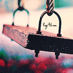 دموع الحمد ، كلمات أمل الشقير ، إنشاد- أسامة السلمان