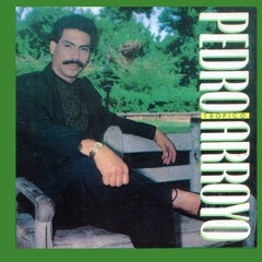 He Decidido Olvidarte - Pedro Arroyo (1987)