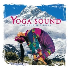 03 - Sunflower - "Yoga Sound" Album