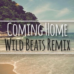 Coming Home - Skylar Grey (Wild Beats Remix)