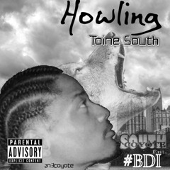 TOP NO (BODY) - Toine South FT S.C.L