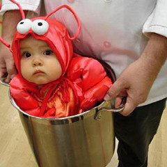 Died for Your Science