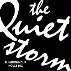 Ant Dingo- "Quiet Storm"