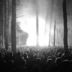 Ste Spencer - Woodland Rave Vol.2