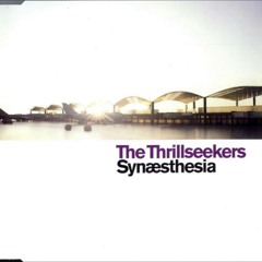 The Thrillseekers - Synaesthesia (Skylex Bootleg)