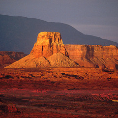 2015, more sweetness