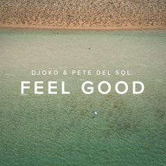 Kolter & Pete del sol - Feel Good