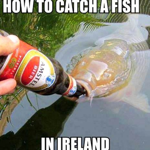 WTF Did I Witness?!? Episode 1: Foggy Dew