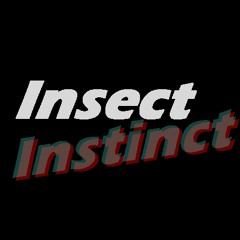 Insect Instinct - Bone to your dog