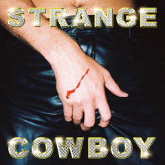 Strange Cowboy (TroyBoi Remix)
