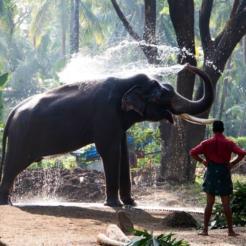 my battery dies just before your 60 mins set