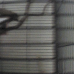 zammot PromoSapiens Technoset