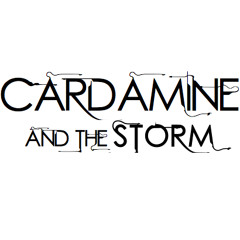 Cardamine And The Storm