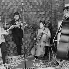 Ensamble Strings Stereo AB