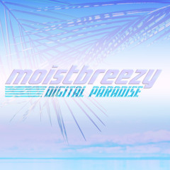 DIGITAL PARADISE