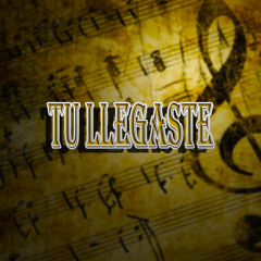 Leodan De El Salvador - Tu Llegaste